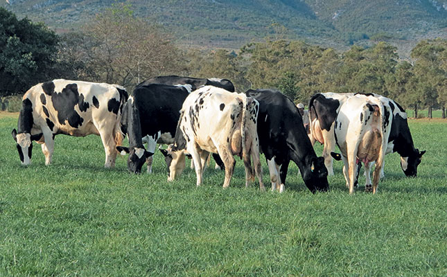 World dairy must tackle environmental debate head-on