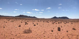 Drought-stricken Northern Cape farmers reducing herds