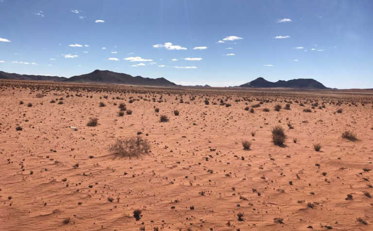 Drought-stricken Northern Cape farmers reducing herds Drought-stricken Northern Cape farmers reducing herds