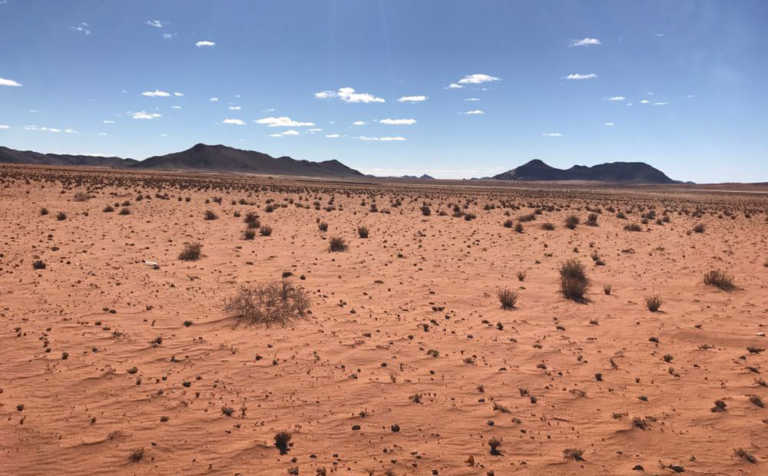 Drought-stricken Northern Cape farmers reducing herds