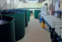 Small aquaculture systems: the simpler, the better!