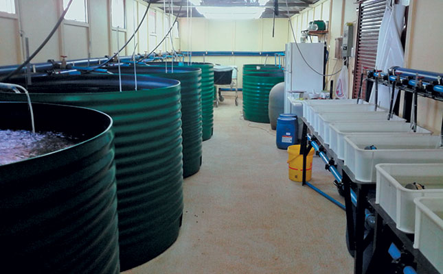 Small Aquaculture Systems The Simpler The Better
