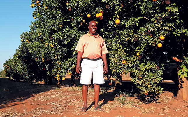 Working to improve market access for black citrus farmers