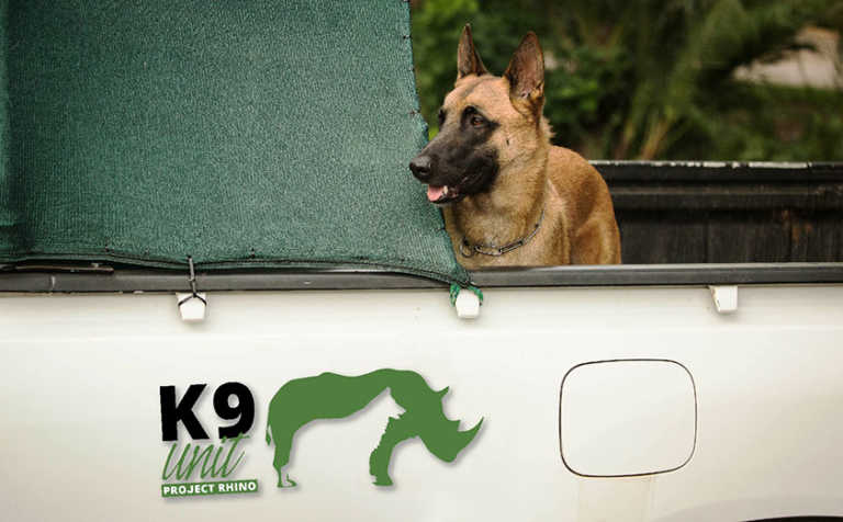 Project Rhino K9 Unit urgently seeks funding