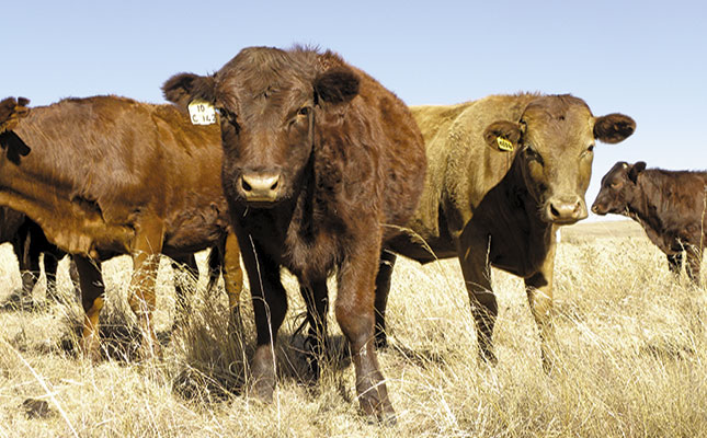 R1 billion boost for Namibian agriculture R1 billion boost for Namibian agriculture