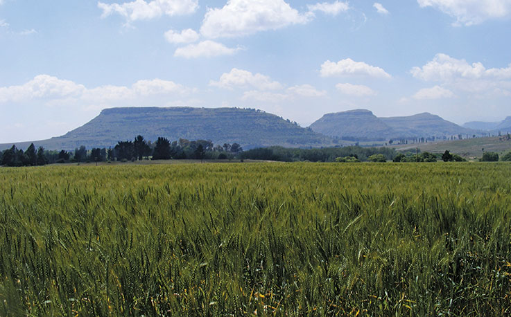 African agribusinesses seek stable investment environments African agribusinesses seek stable investment environments