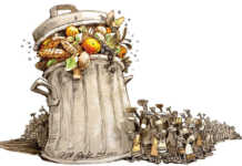 Smallholder co-operatives combatting food waste