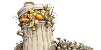 Smallholder co-operatives combatting food waste