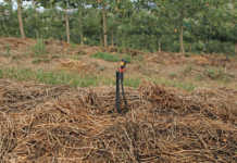 Easy, affordable ways to cut on-farm electricity costs
