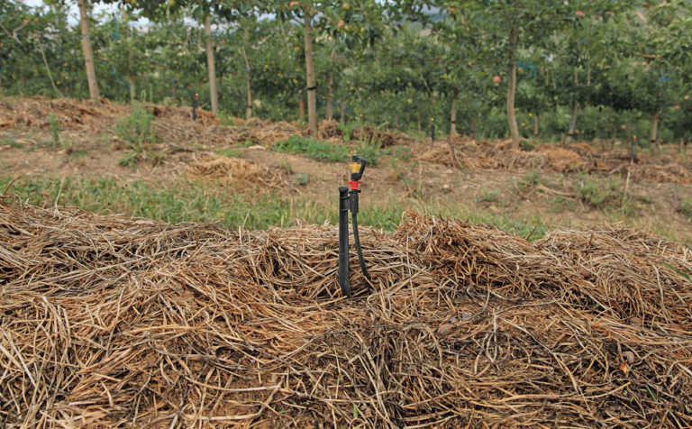 Easy, affordable ways to cut on-farm electricity costs Easy, affordable ways to cut on-farm electricity costs
