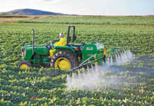 Commercial GM crops: 20 years of success