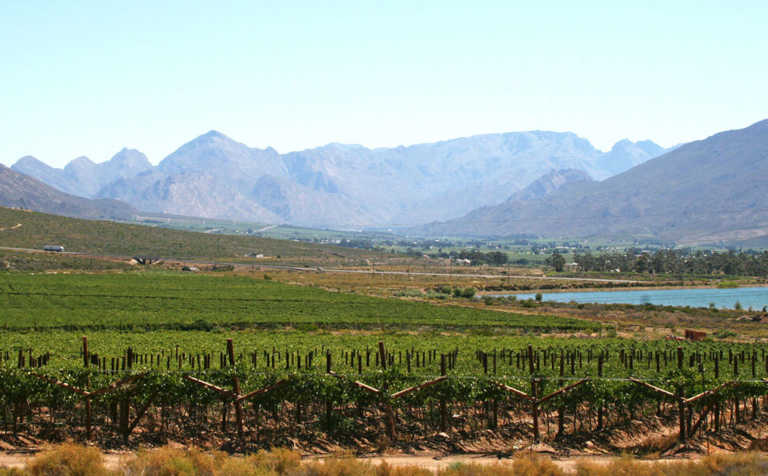 Cape Town to host international agricultural conference