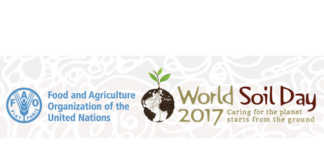 World Soil Day