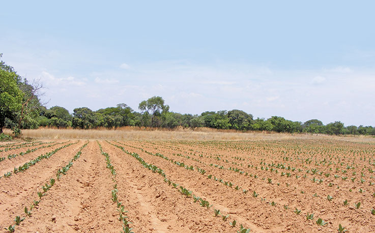 Politics and farming are intertwined