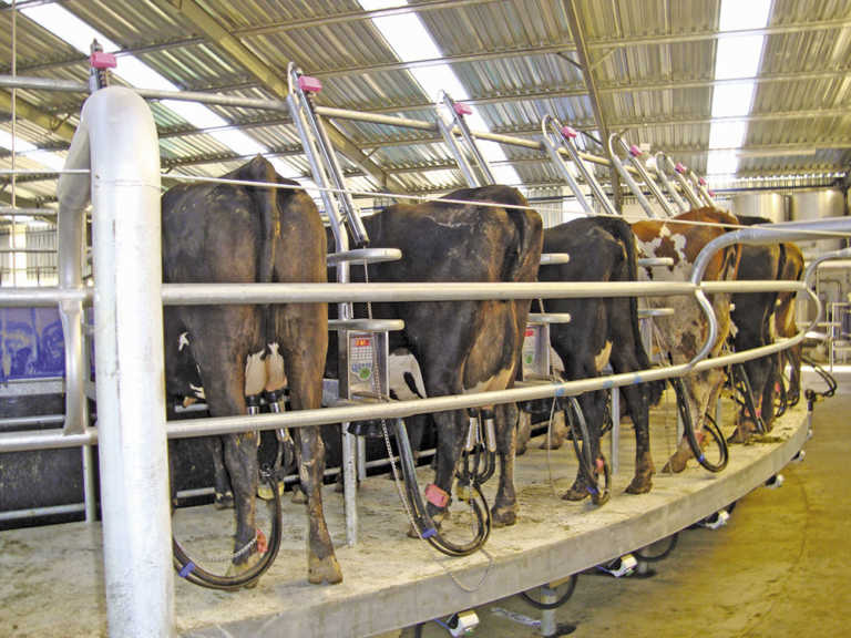 No threat from Brexit for SA’s milk producers No threat from Brexit for SA’s milk producers