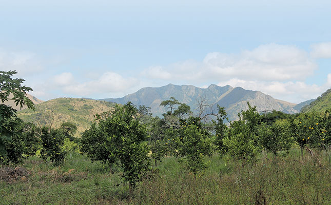Malaria flares up in Limpopo Malaria flares up in Limpopo