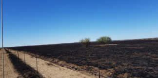 No leads on Free State veld fire