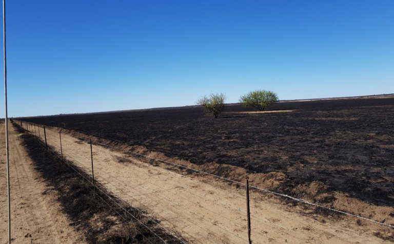 No leads on Free State veld fire No leads on Free State veld fire