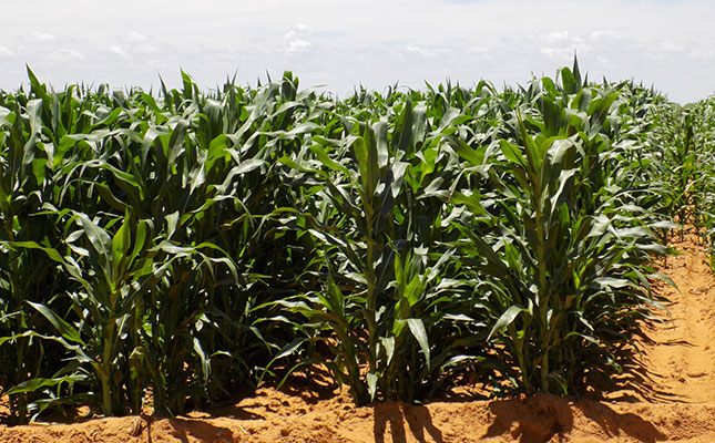 Stronger rand boosts drought-stricken agri industry