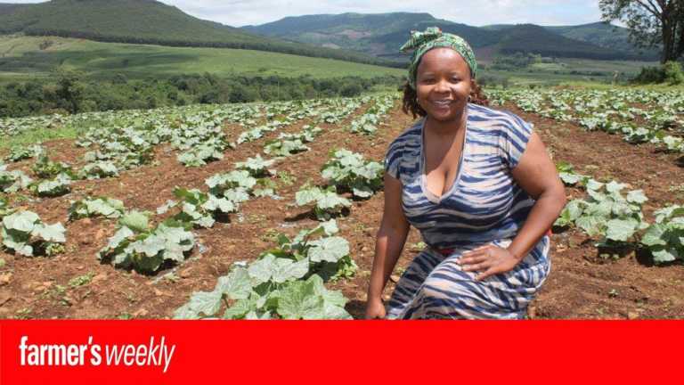 Potato farming: Award-winning farmer, Zama Buthelezi, shows us how Potato farming: Award-winning farmer, Zama Buthelezi, shows us how
