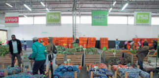 ZZ2 opens doors to the subtropical fruit industry