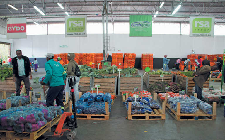 ZZ2 opens doors to the subtropical fruit industry ZZ2 opens doors to the subtropical fruit industry