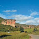 Brandwag-Buttress-free-state