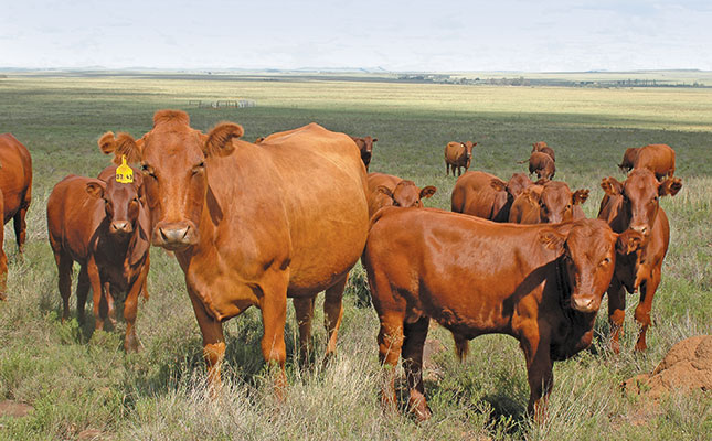 New smartphone apps to help farmers New smartphone apps to help farmers