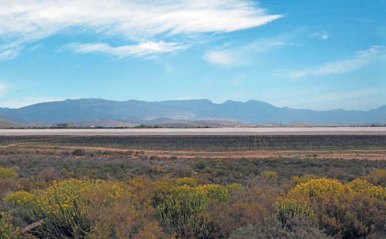 Eastern Cape farmers head west to diversify