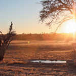 Kgalagadi-Transfrontier-Park-waterhole