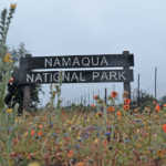Namaqua-National-Park