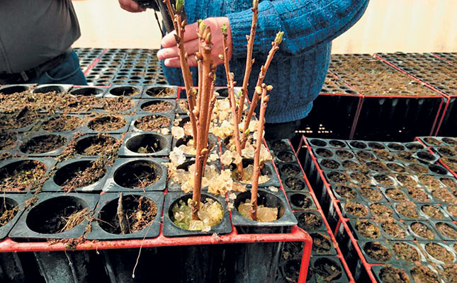 French innovation aims to reduce water usage in farming French innovation aims to reduce water usage in farming