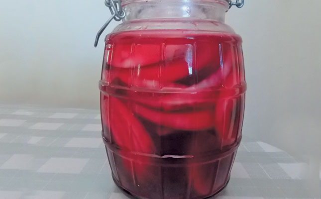 How to grow beetroot in your home garden How to grow beetroot in your home garden