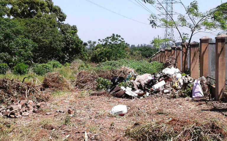 KZN urban farming project aims to combat crime