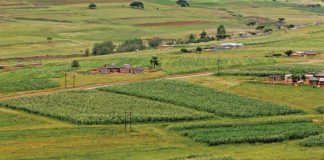 Land audit reveals no great insight