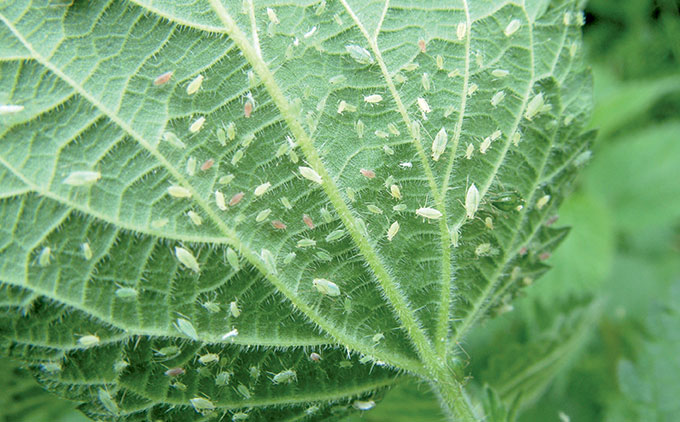 Technology to turn you into a truly smart farmer Technology to turn you into a truly smart farmer