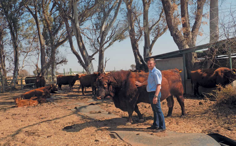 SA’s top young Angus breeder – a star at 26