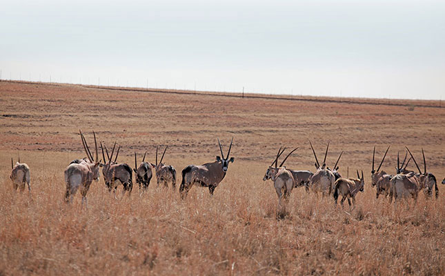 DNA testing ‘an essential tool for wildlife industry’ DNA testing ‘an essential tool for wildlife industry’