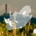 Gauteng