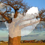 Limpopo