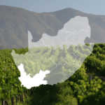 Western Cape