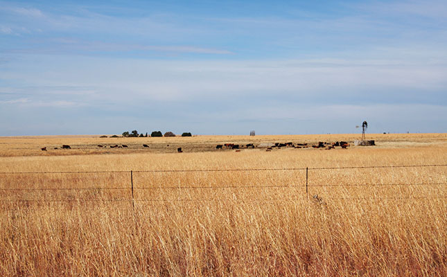 Land: SA’s real watershed moment Land: SA’s real watershed moment