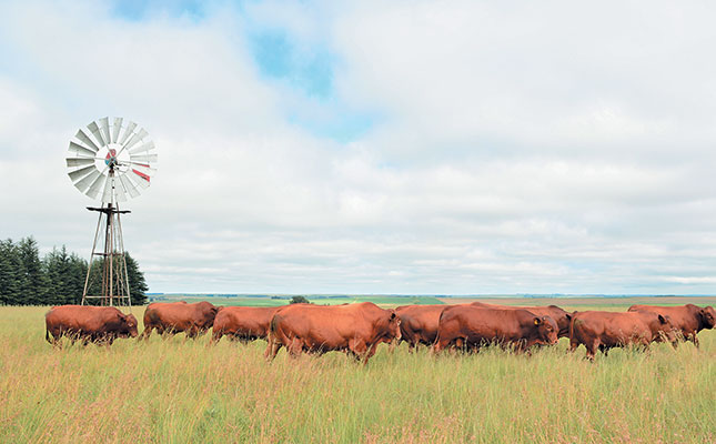 Single-step genomics: a game changer for livestock breeding