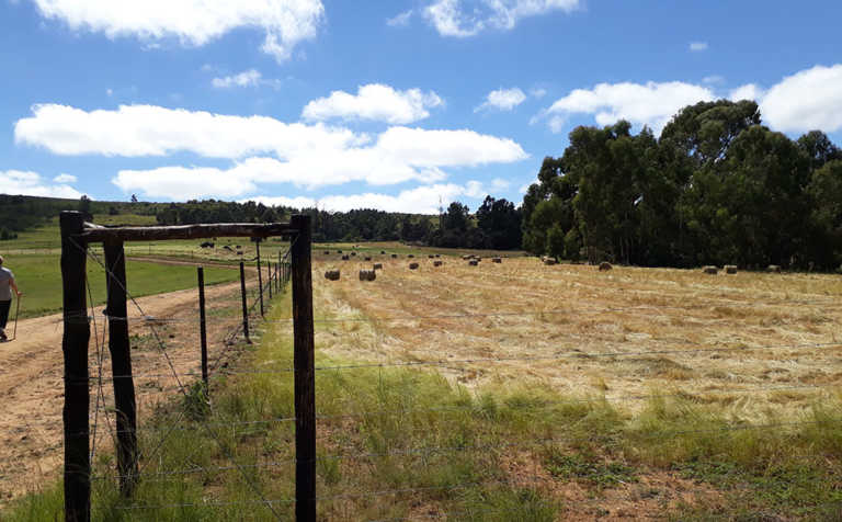 Farmers not under any threat in South Africa, government Farmers not under any threat in South Africa, government