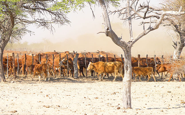 Botswana contravening UN declaration on agricultural funding