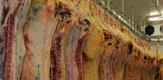 Imports halted from Brazilian meat company