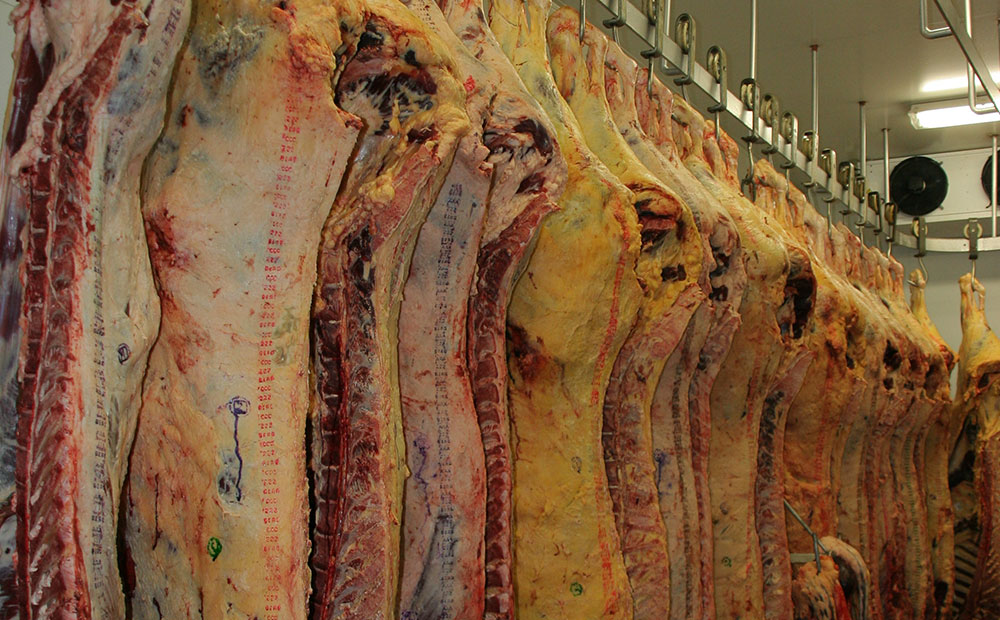 Imports halted from Brazilian meat company