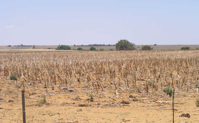 Drought declared a national disaster