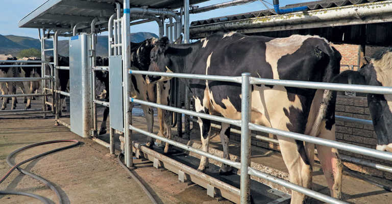 Public Protector to reopen Vrede dairy investigation Public Protector to reopen Vrede dairy investigation