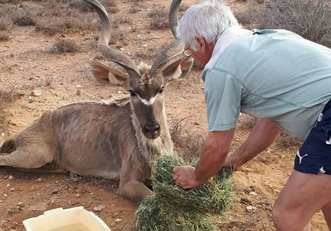 Hunters send drought aid to the Northern Cape